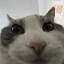 nsp35's avatar